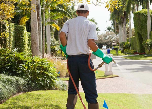 About Seatonville IL Pest Control